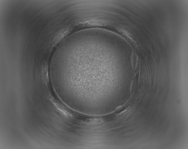 X0000056320398200509021608