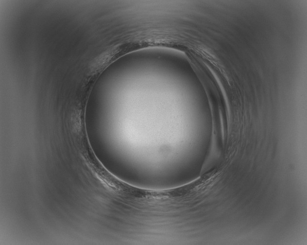 X0000056320401200509021608