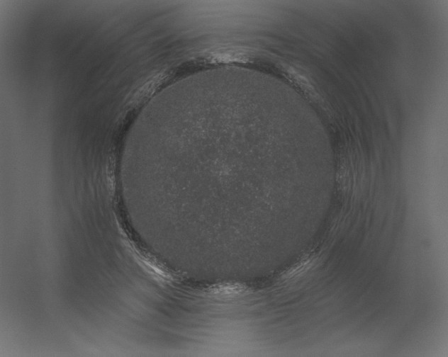 X0000056320402200509021608