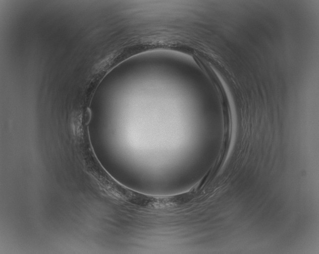 X0000056320403200509021608