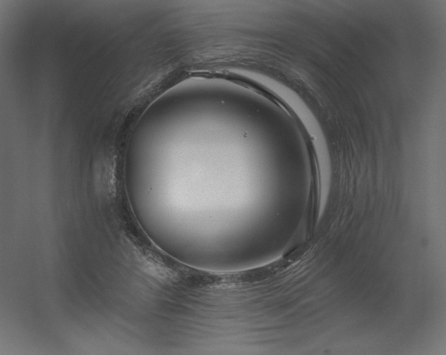 X0000056320404200509021608
