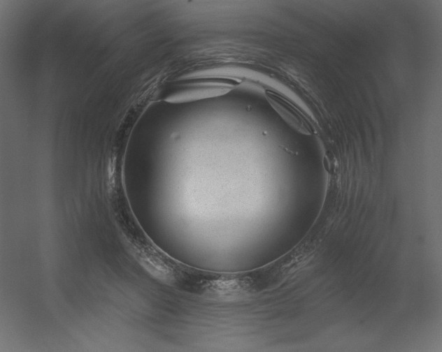 X0000056320406200509021608