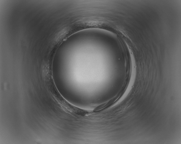 X0000056320407200509021608