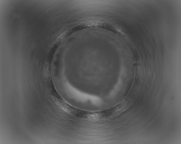 X0000056320411200509021608