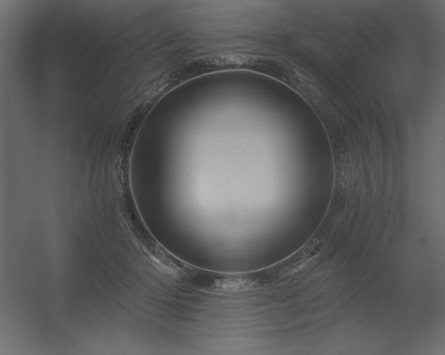 X0000056320414200509021608