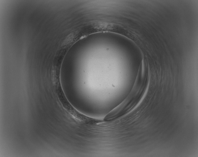 X0000056320416200509021608