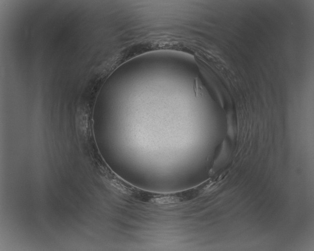 X0000056320417200509021608