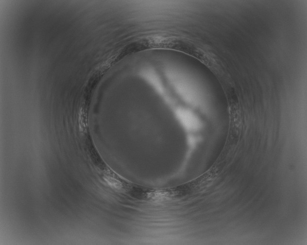X0000056320419200509021608