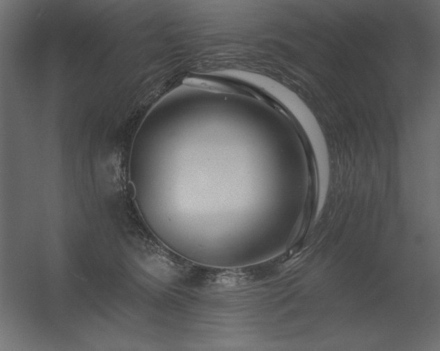 X0000056320420200509021608