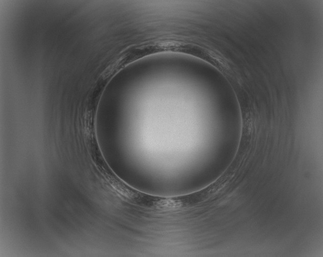 X0000056320421200509021608