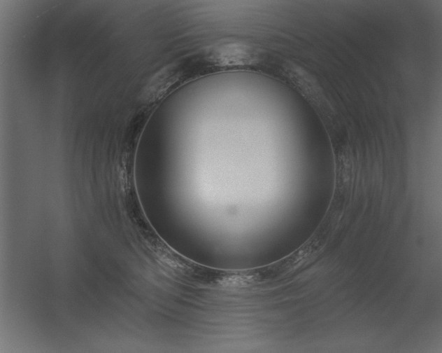 X0000056320422200509021608