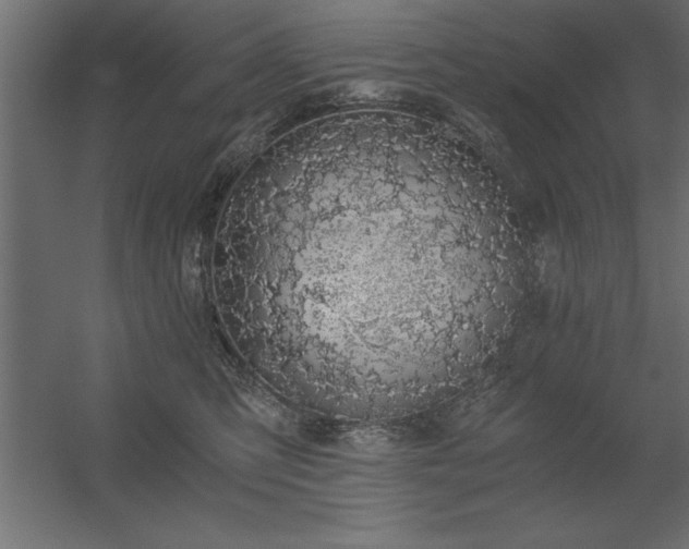 X0000056320423200509021608