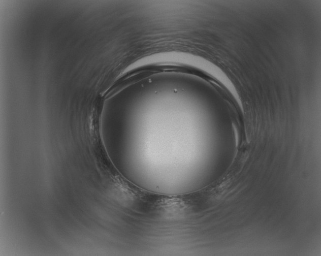 X0000056320424200509021608