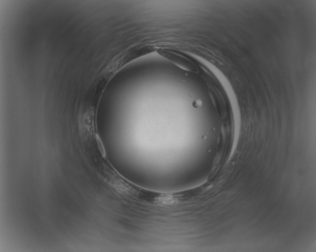 X0000056320425200509021608