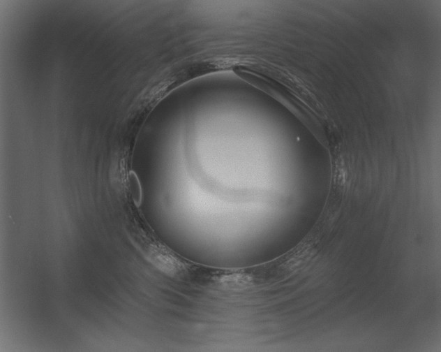 X0000056320426200509021608