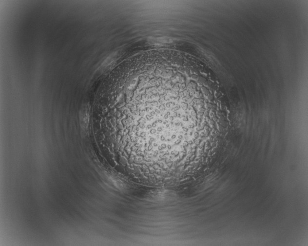X0000056320427200509021608