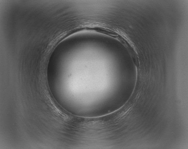 X0000056320433200509021607