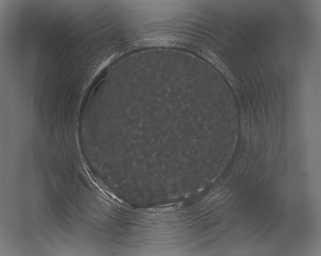 X0000056320434200509021607