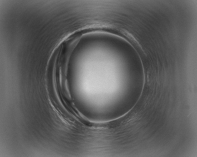 X0000056320436200509021607