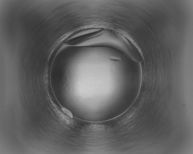 X0000056320437200509021607