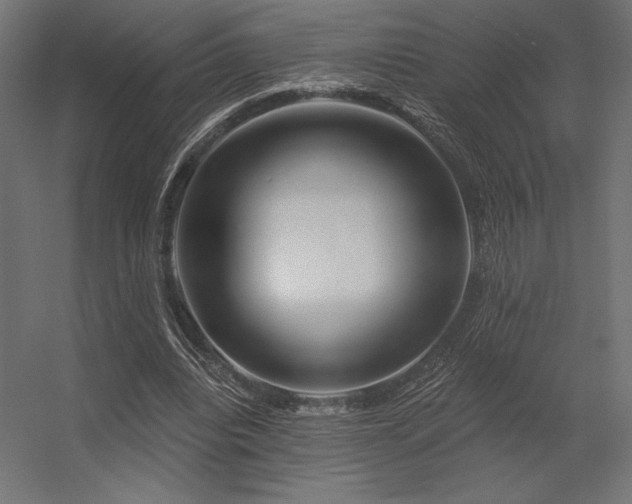 X0000056320440200509021607