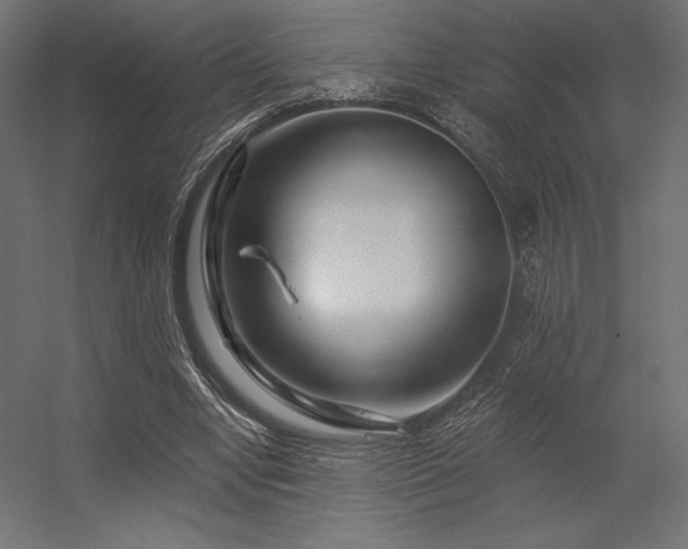 X0000056320442200509021607