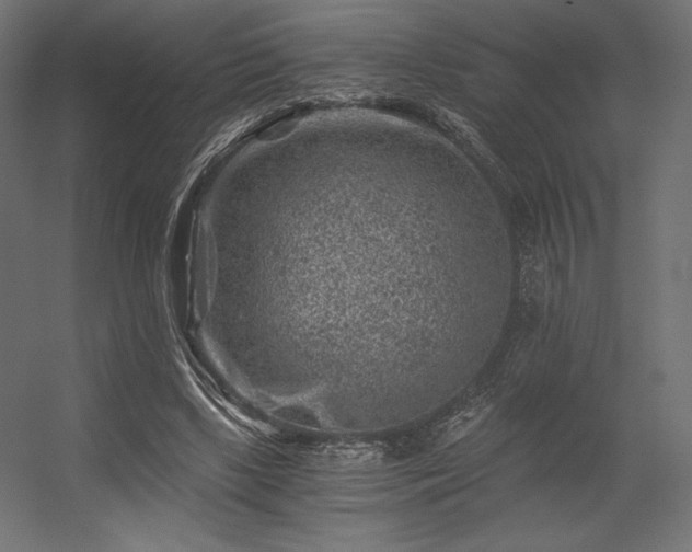X0000056320443200509021607