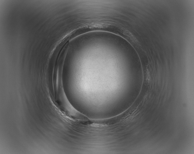 X0000056320444200509021607