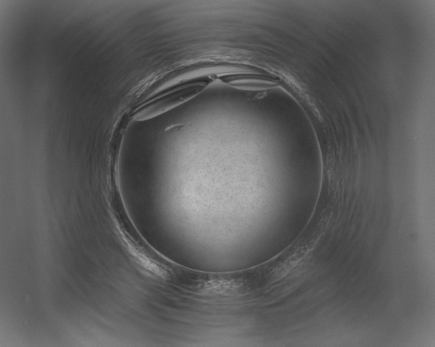 X0000056320445200509021607
