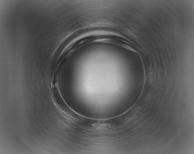 X0000056320448200509021607
