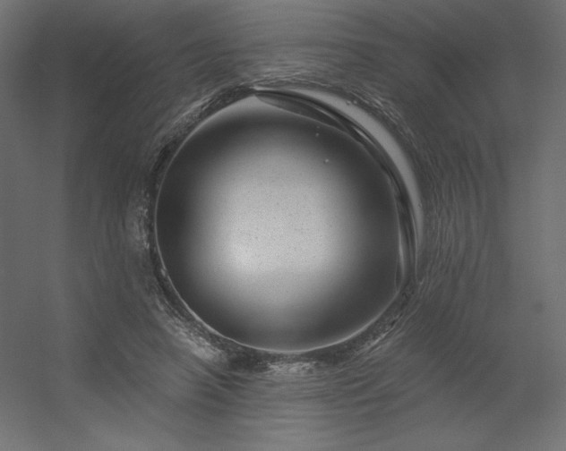 X0000056320450200509021607