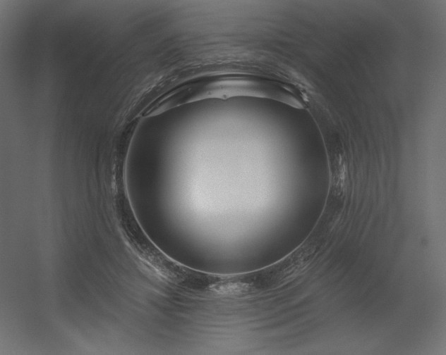 X0000056320452200509021607