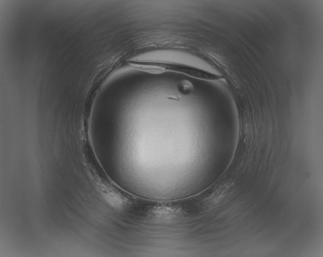 X0000056320453200509021607
