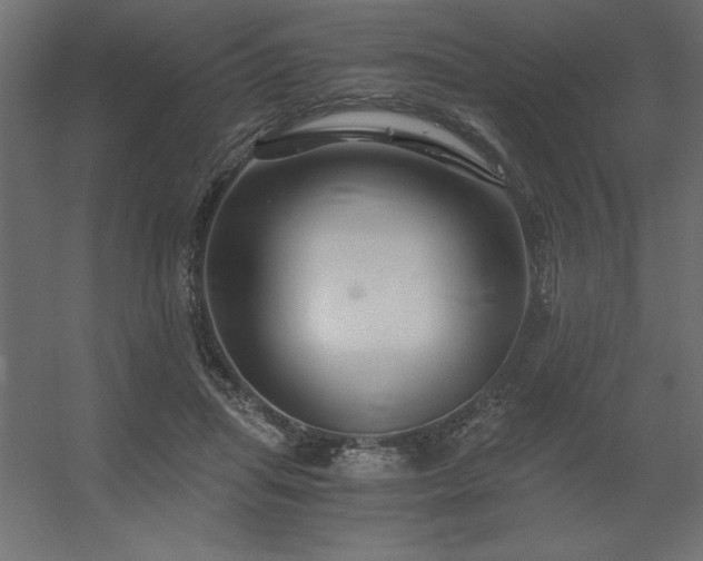 X0000056320455200509021607