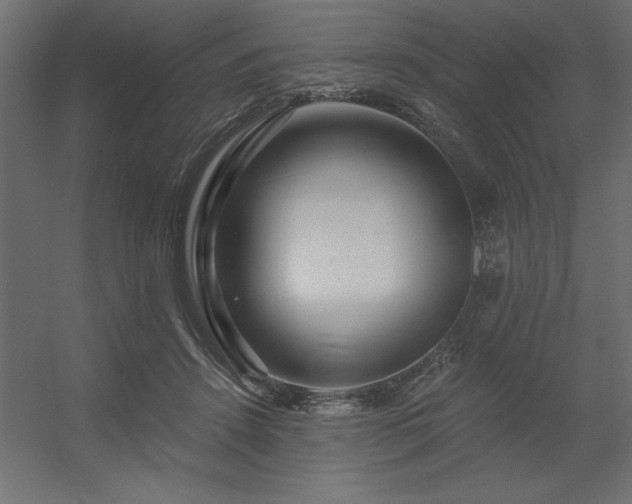 X0000056320456200509021607