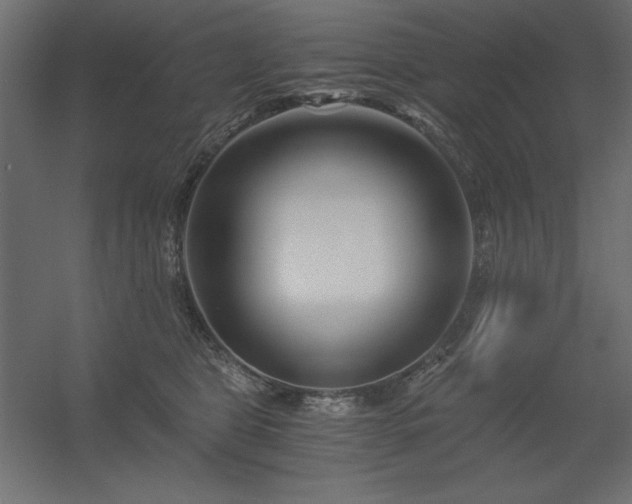 X0000056320469200509021608