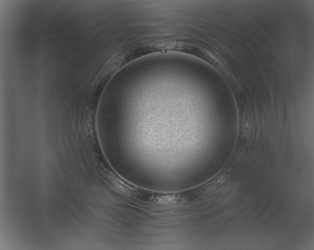 X0000056320473200509021608
