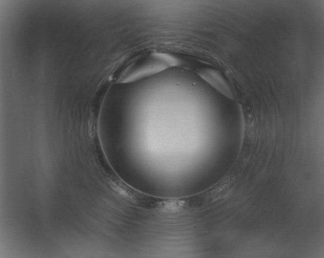 X0000056320474200509021608