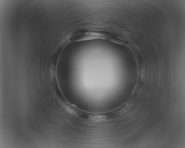 X0000056320476200509021608