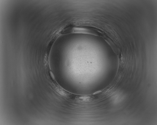 X0000056320478200509021608