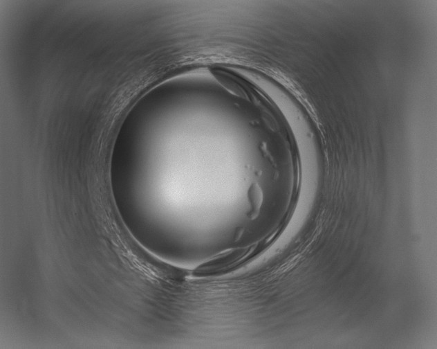 X0000056320481200509021607