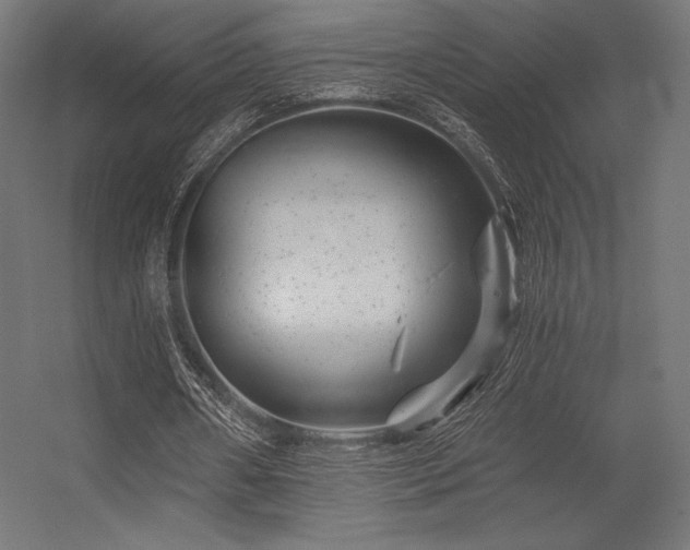 X0000056320482200509021607