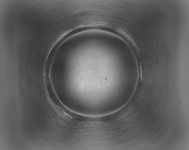 X0000056320483200509021607