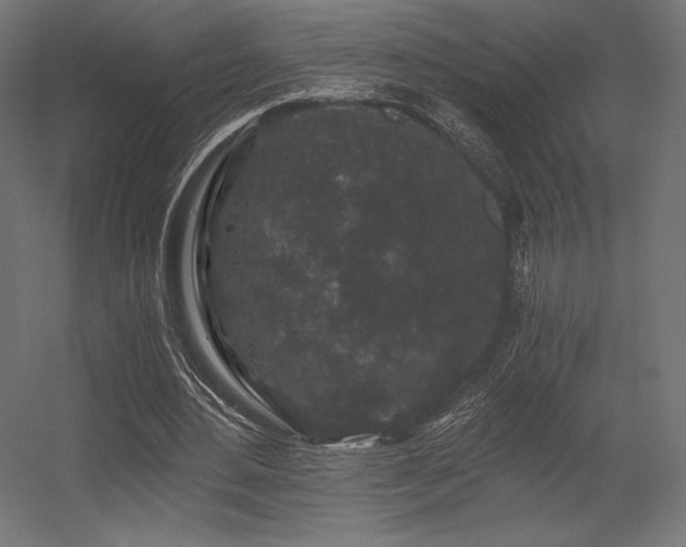 X0000056320484200509021607