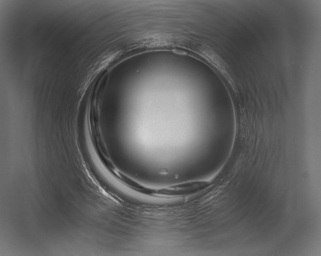 X0000056320485200509021607