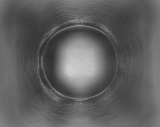 X0000056320486200509021607