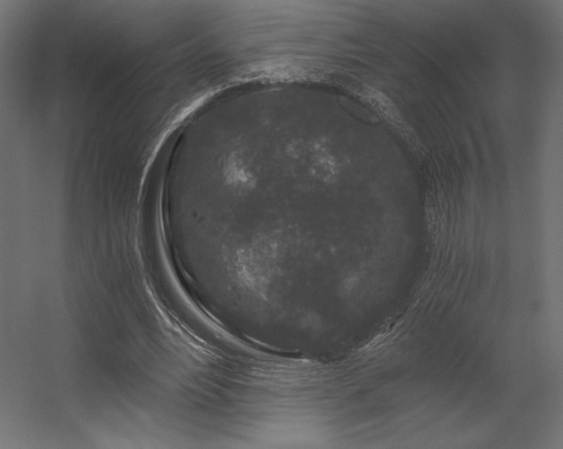 X0000056320488200509021607