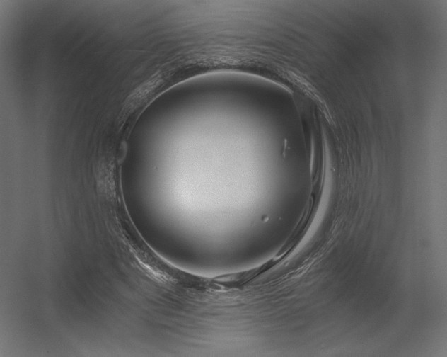 X0000056320489200509021607