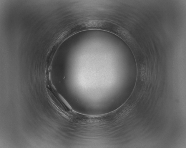 X0000056320490200509021607
