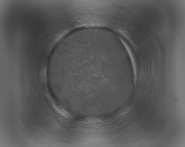 X0000056320491200509021607